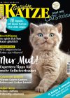 KittyPits, Geliebte Katze, Katzenlogik für Dummies